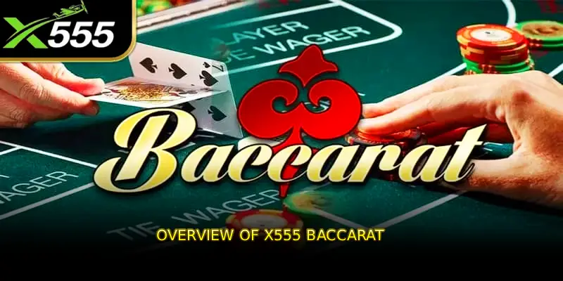 Overview of x555 baccarat